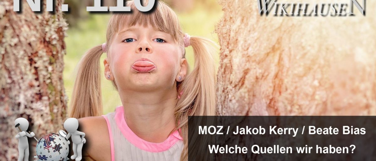 Permalink auf:Geschichten aus Wikihausen – Video Blog auf Youtube